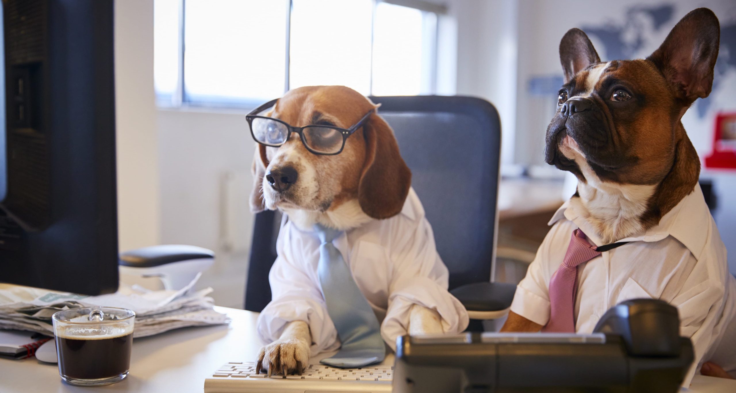 Our Veterinary Care Team Takoma Park, MD Takoma Park Animal Clinic